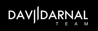 LOGO DAVID TEAM